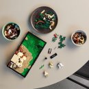 LEGO Star Wars 75330 - Jediský trénink na planetě Dagobah – diorama