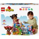 LEGO Duplo 10974 - Divoká zvířata Asie